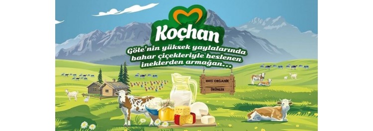 Ardahan Göle’de Kaşar Peyniri Nereden Alınır?
