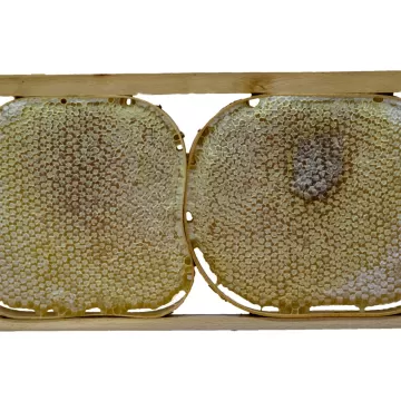 Karakovan Balı (2.700 - 3000 Gr.)