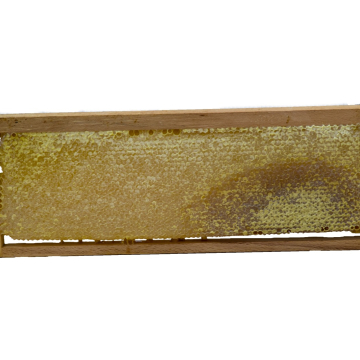 Göle Petek Balı (2000 Gr.)