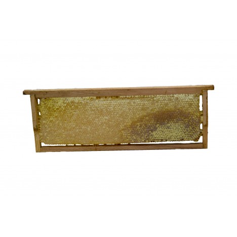 Göle Petek Balı (2000 Gr.)