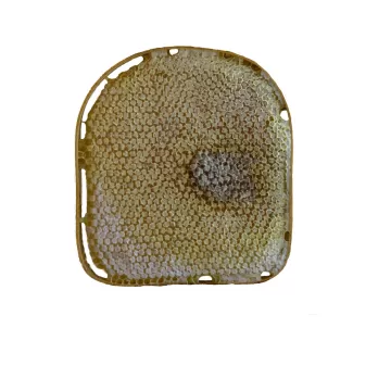 Karakovan Balı (1500 Gr.)