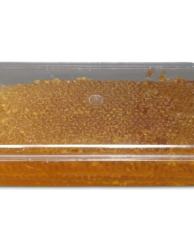 Göle Petek Balı Kase (1000 Gr.)