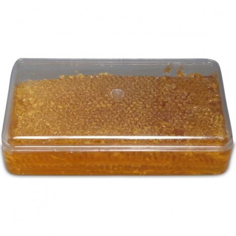 Göle Petek Balı Kase (1000 Gr.)