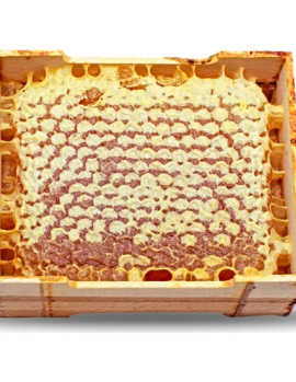 Göle Petek Balı Kasa (500 Gr.)