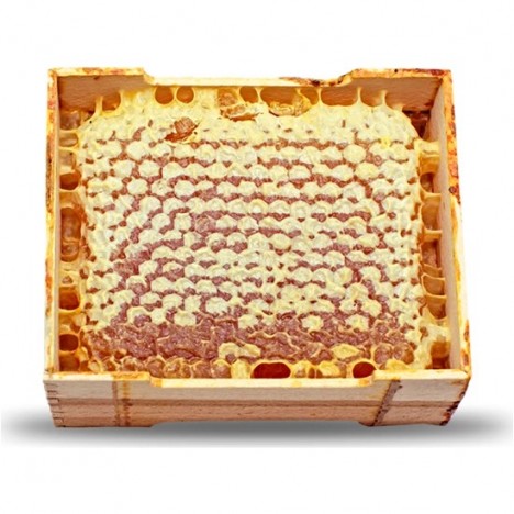 Göle Petek Balı Kasa (500 Gr.)