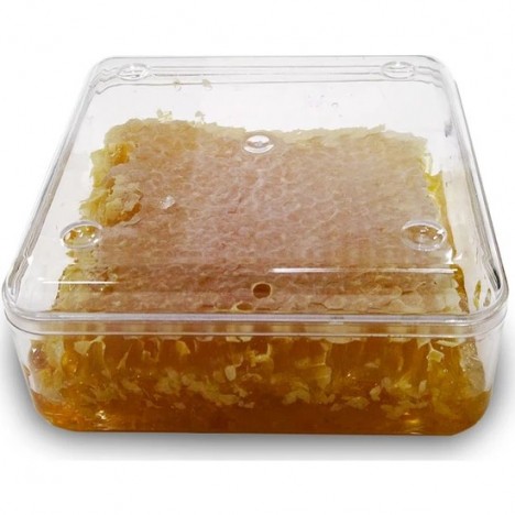 Göle Petek Balı Kase (230 Gr.)