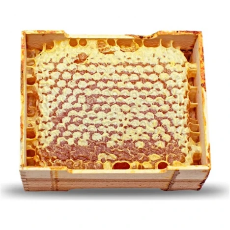 Göle Petek Balı Kasa (500 Gr.)