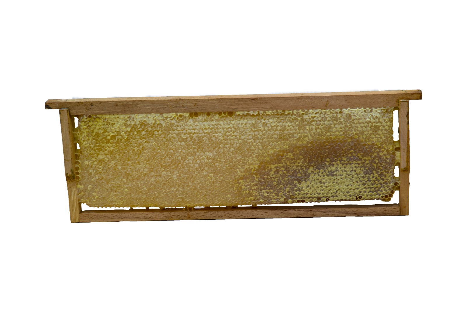 Göle Petek Balı (2000 Gr.)